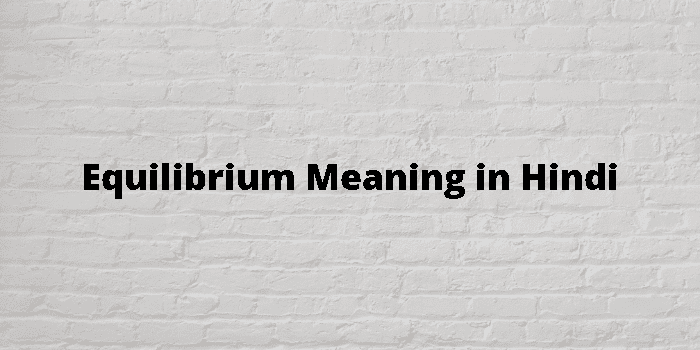 equilibrium-meaning-in-hindi