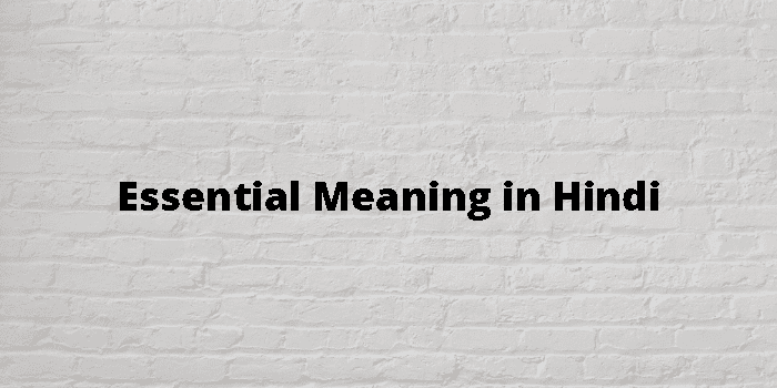 Essential Meaning In Hindi - हिंदी अर्थ