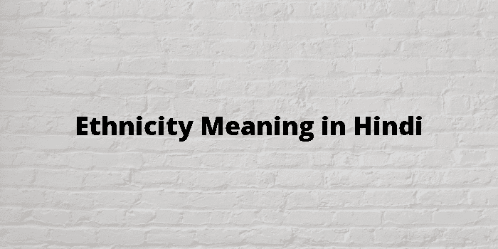 ethnicity-meaning-in-hindi