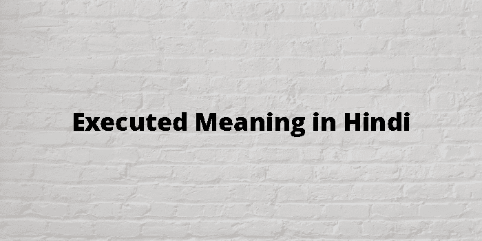 executed-meaning-in-hindi