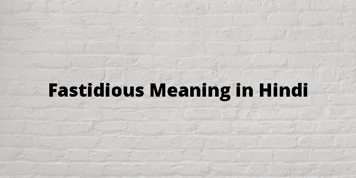 fastidious-meaning-in-hindi