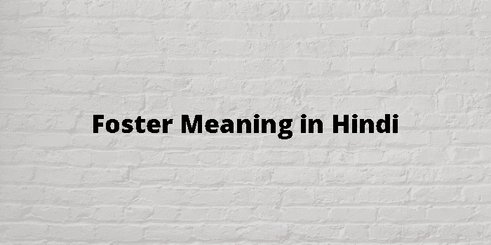 foster-meaning-in-hindi