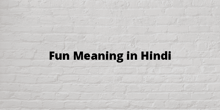 fun-meaning-in-hindi