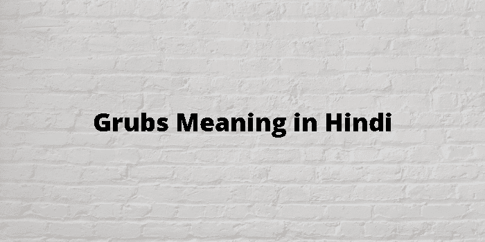 Grubs Meaning In Hindi - हिंदी अर्थ