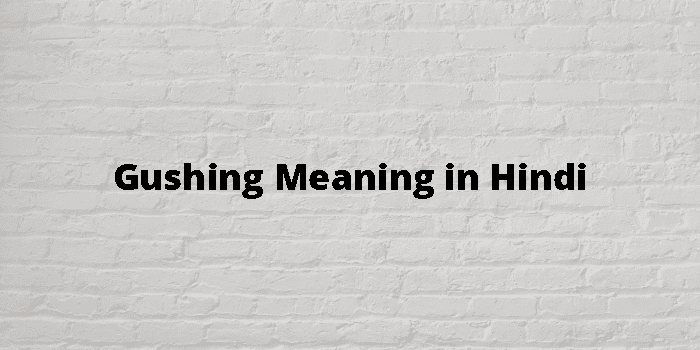 Gushing Meaning In Hindi - हिंदी अर्थ