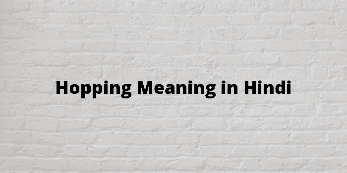 hopping-meaning-in-hindi