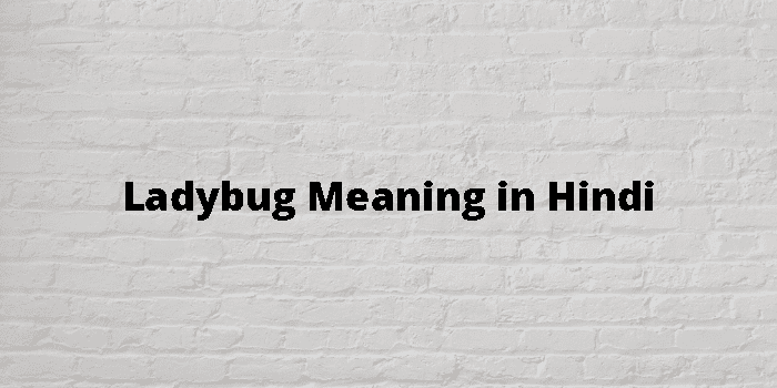 ladybug-meaning-in-hindi