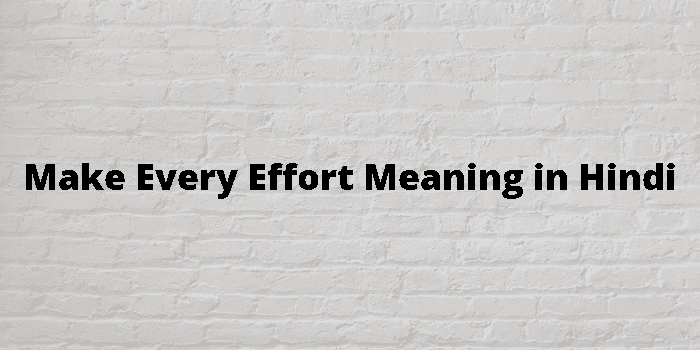 make-every-effort-meaning-in-hindi