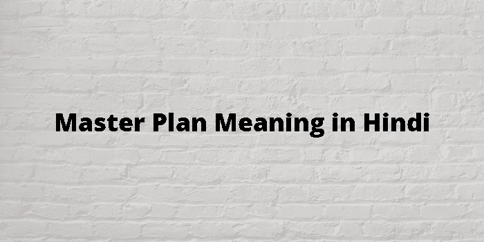 master-plan-meaning-in-hindi