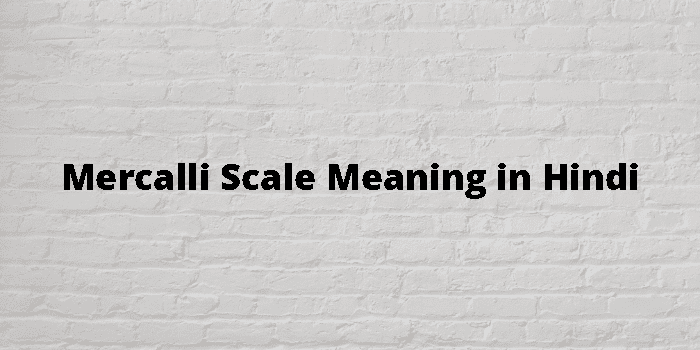 mercalli-scale-meaning-in-hindi