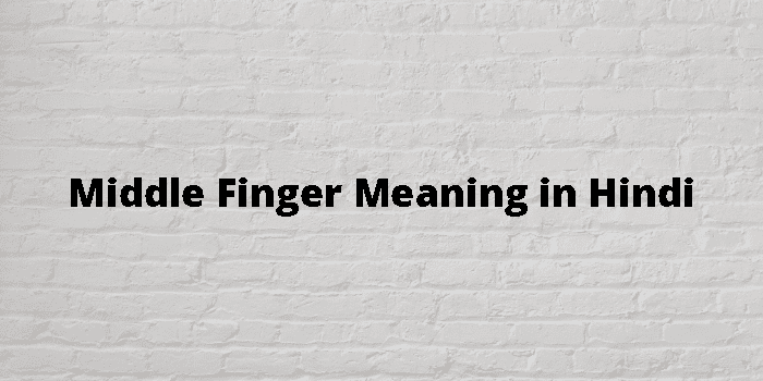 middle-finger-meaning-in-hindi