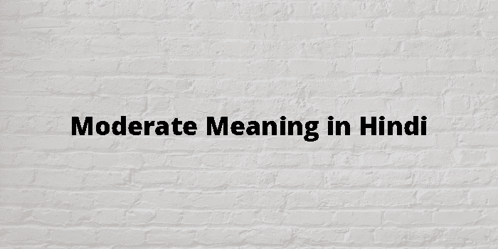 Moderate Meaning In Hindi - हिंदी अर्थ