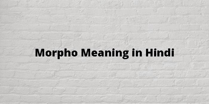 Morpho Meaning In Hindi - हिंदी अर्थ