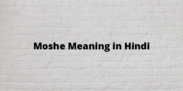 Moshe Meaning In Hindi - हिंदी अर्थ