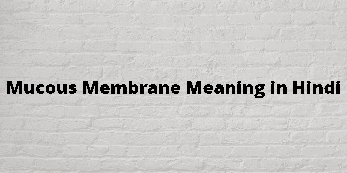 mucous-membrane-meaning-in-hindi