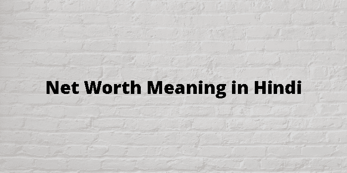 net-worth-meaning-in-hindi