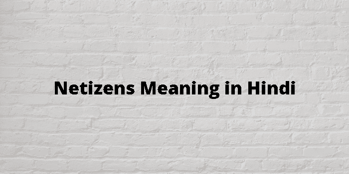 netizens-meaning-in-hindi