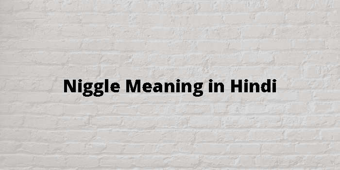Niggle Meaning In Hindi - हिंदी अर्थ