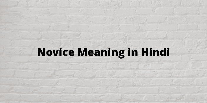 novice-meaning-in-hindi