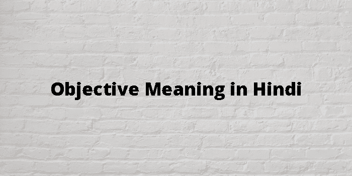 objective-meaning-in-hindi