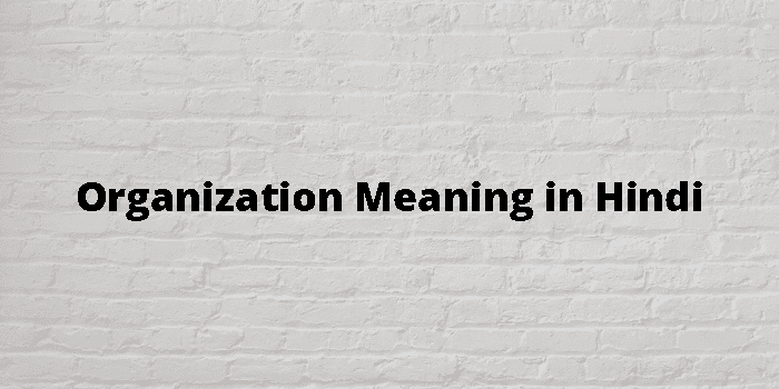 Organization intelligence overview