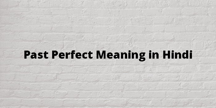 past-perfect-meaning-in-hindi