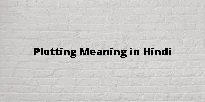 plotting-meaning-in-hindi