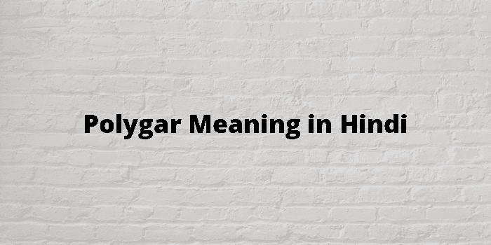 Polygar Meaning In Hindi - हिंदी अर्थ