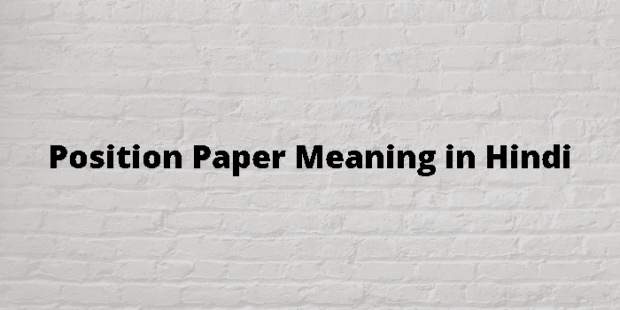 Position Paper Meaning In Hindi 