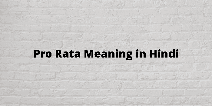 Pro Rata Meaning In Hindi - हिंदी अर्थ