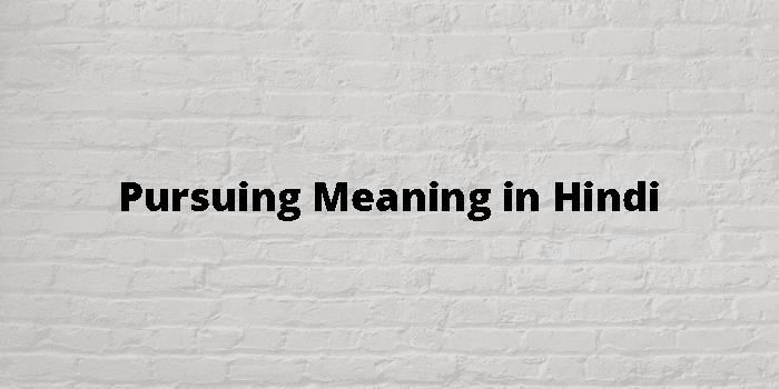 pursuing-meaning-in-hindi