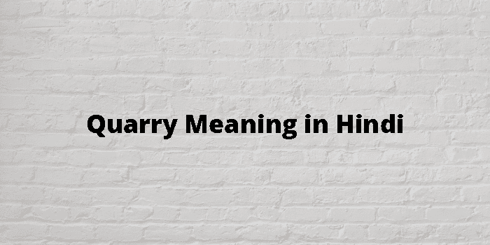 Quarry Meaning In Hindi - हिंदी अर्थ