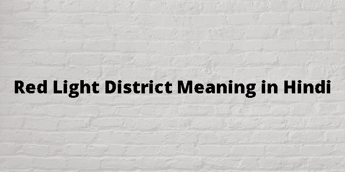 red-light-district-meaning-in-hindi