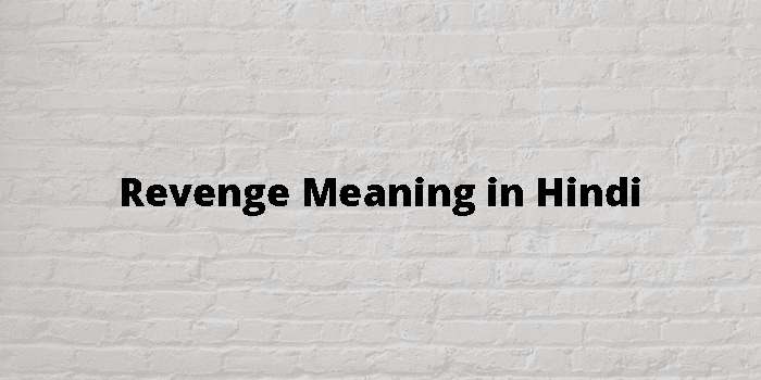 revenge-meaning-in-hindi