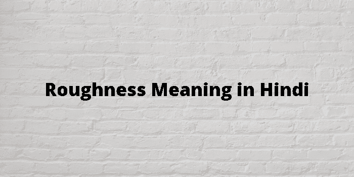 roughness-meaning-in-hindi