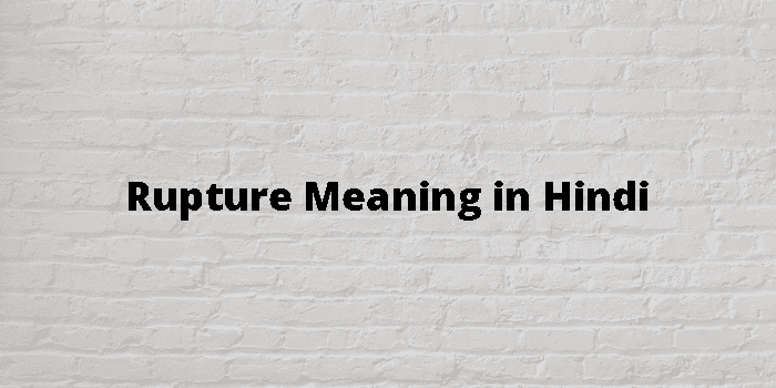 Rupture Meaning In Hindi - हिंदी अर्थ