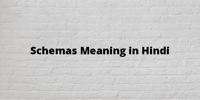 schemas-meaning-in-hindi