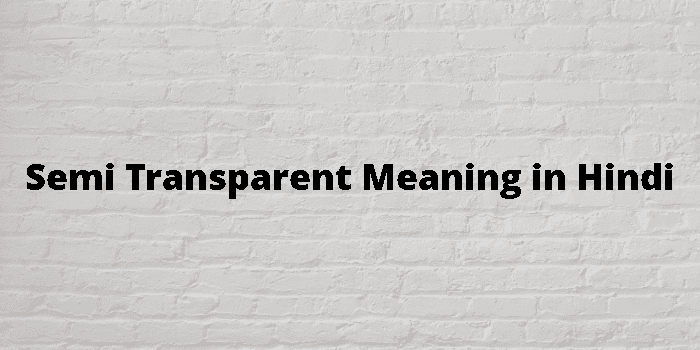 Transparent Meaning 