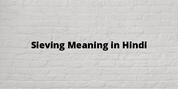 Sieving Meaning In Hindi - हिंदी अर्थ