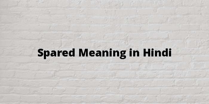 Spared Meaning In Hindi - हिंदी अर्थ