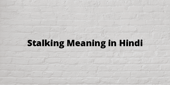 stalking-meaning-in-hindi