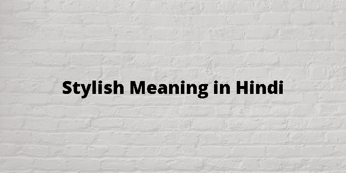 Stylish meaning in Hindi 