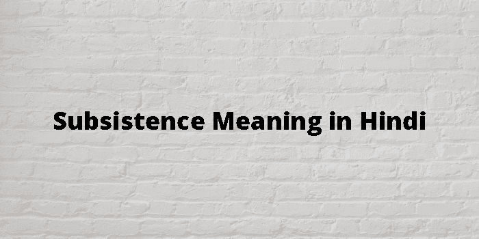 subsistence-meaning-in-hindi