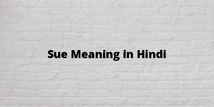 sue-meaning-in-hindi