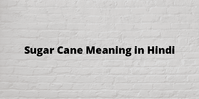 sugar-cane-meaning-in-hindi