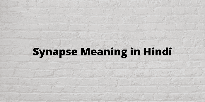 synapse-meaning-in-hindi