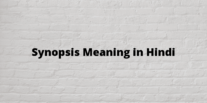 synopsis-meaning-in-hindi