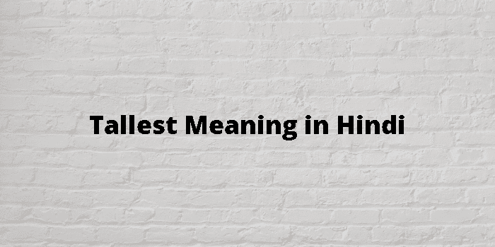 Tallest Hindi Meaning