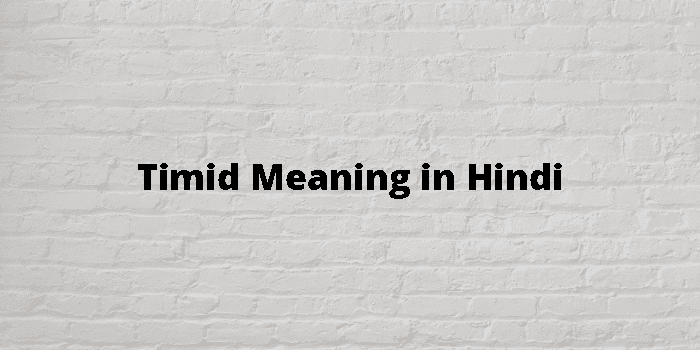 Timid Meaning In Hindi - हिंदी अर्थ