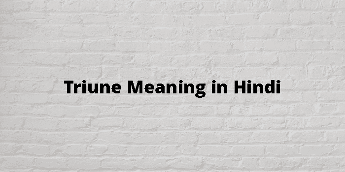 Triune Meaning In Hindi - हिंदी अर्थ